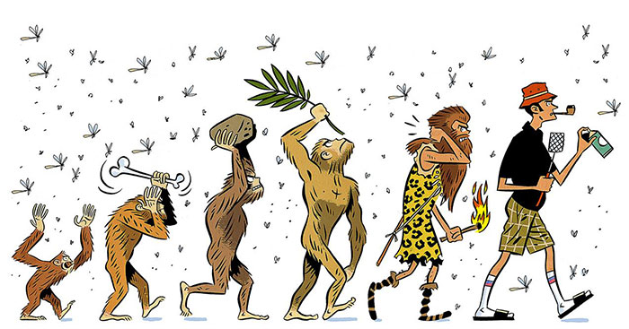 imagenes-satiras-de-la-evolucion-del-hombre-12